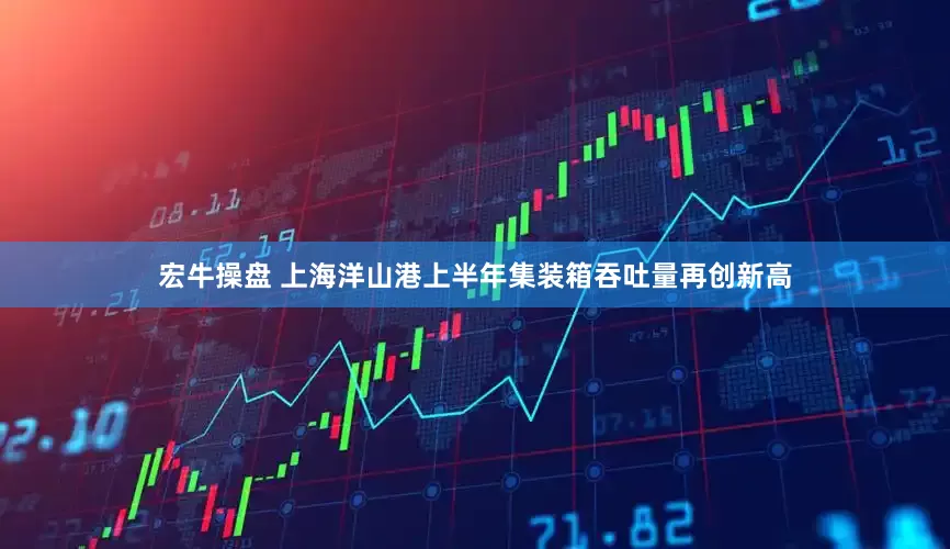 宏牛操盘 上海洋山港上半年集装箱吞吐量再创新高