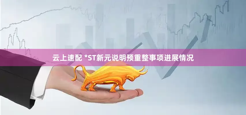 云上速配 *ST新元说明预重整事项进展情况