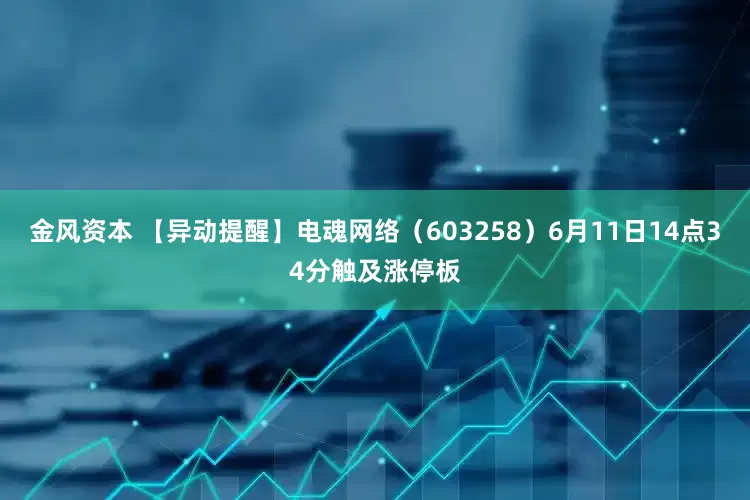 金风资本 【异动提醒】电魂网络（603258）6月11日14点34分触及涨停板