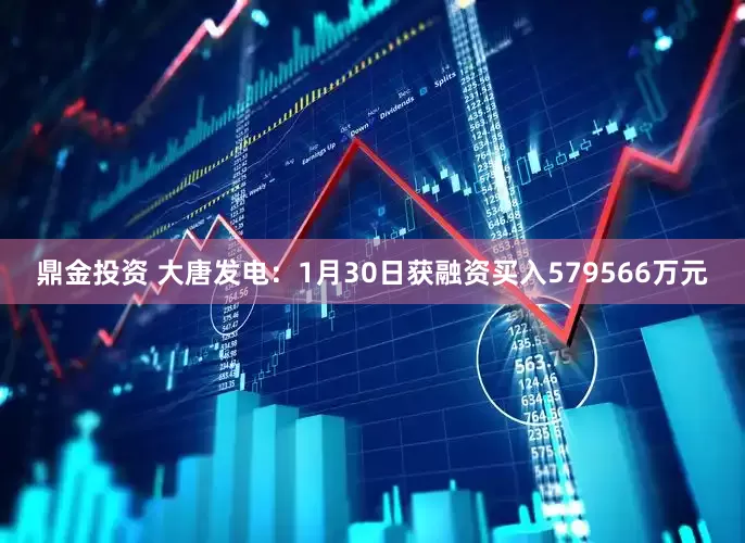 鼎金投资 大唐发电：1月30日获融资买入579566万元