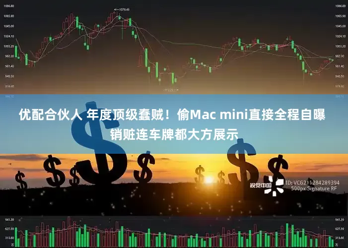 优配合伙人 年度顶级蠢贼！偷Mac mini直接全程自曝 销赃连车牌都大方展示