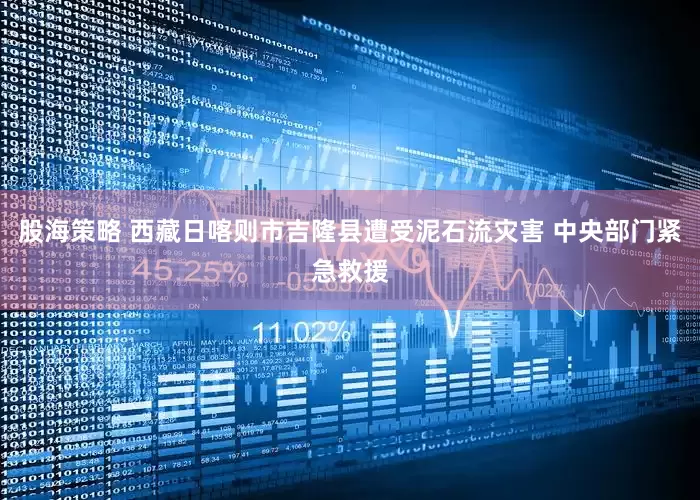 股海策略 西藏日喀则市吉隆县遭受泥石流灾害 中央部门紧急救援